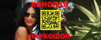 СК Новозыбков