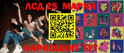 СК Новозыбков