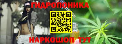 индика Новокубанск
