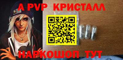 СК Новозыбков