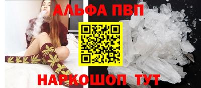 СК Новозыбков