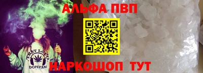 СК Новозыбков