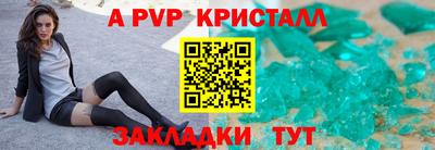 СК Новозыбков