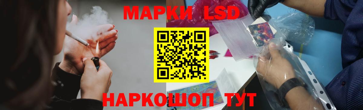 Галлюциногенные грибы Тверь