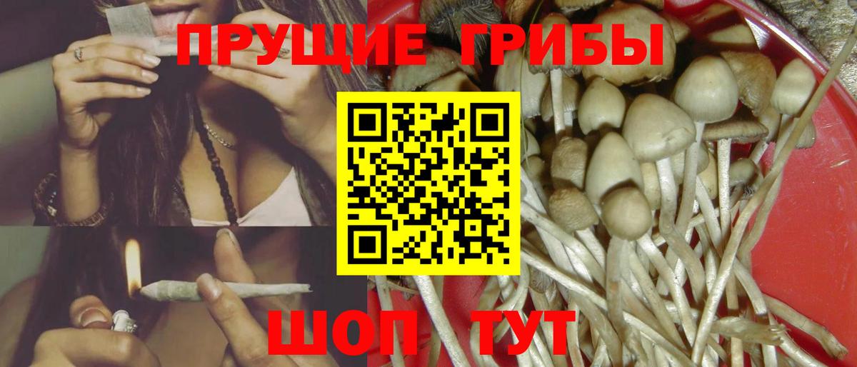 Галлюциногенные грибы Psilocybine cubensis  где можно купить   Тверь  Вход с VPN  Галлюциногенные грибы Cubensis 